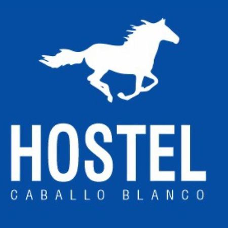 Hostel Caballo Blanco Cartagena Εξωτερικό φωτογραφία