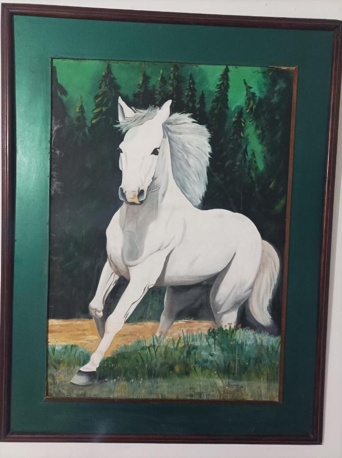 Hostel Caballo Blanco Cartagena Εξωτερικό φωτογραφία